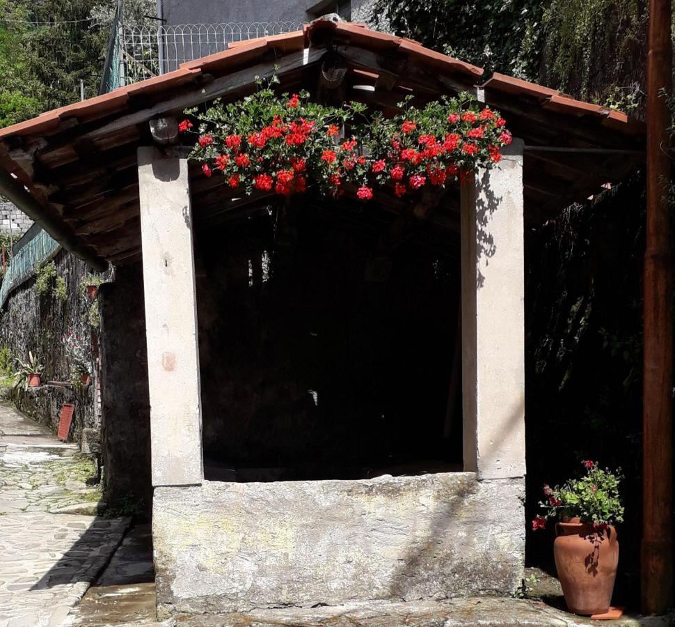Villa Casa Ginevra Bagni di Lucca Esterno foto
